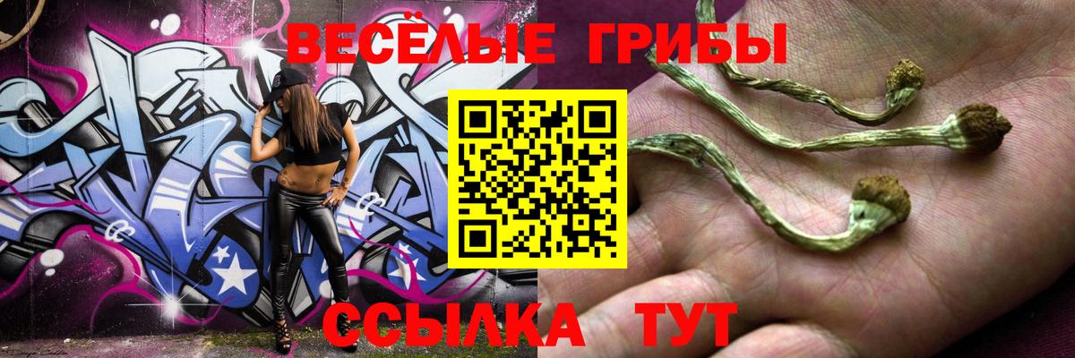 Псилоцибиновые грибы Psilocybine cubensis  Вход с VPN  Ивантеевка 