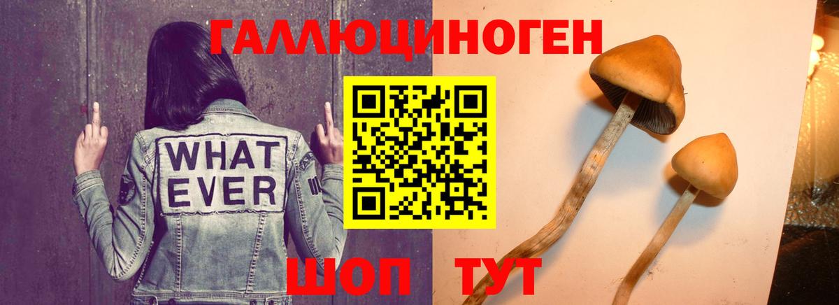 Галлюциногенные грибы мухоморы Ивантеевка